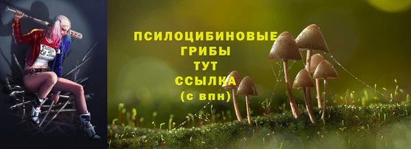 экстази Богданович
