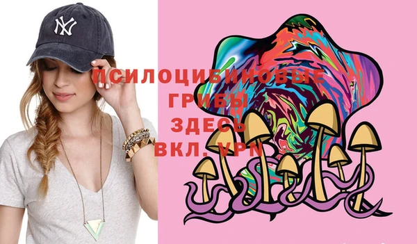 PSILOCYBIN Беломорск