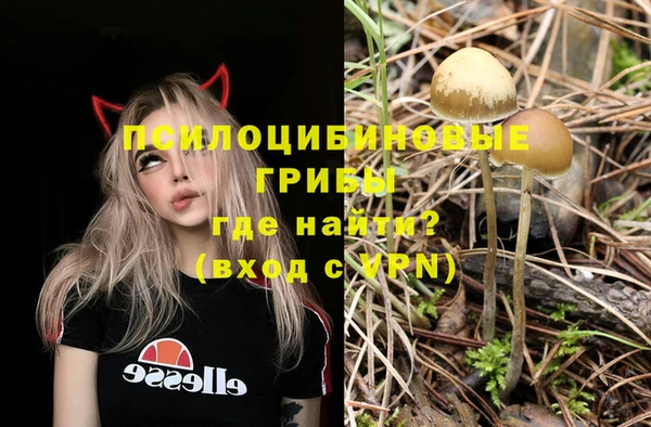 дурь Белокуриха