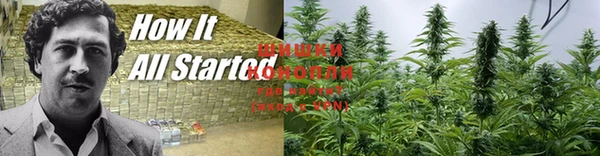 дурь Белокуриха