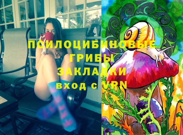 PSILOCYBIN Богородск